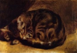 Gato do sono 1862