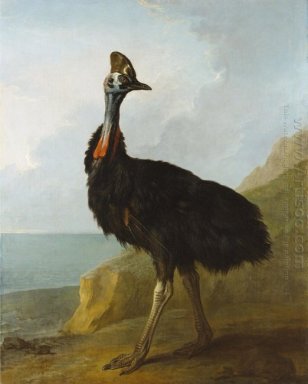 Cassowaries