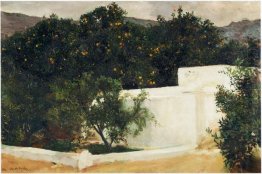 Orange träd på vägen till Sevilla 1903