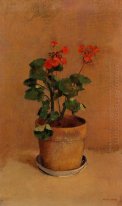 Sebuah Pot Of Geraniums