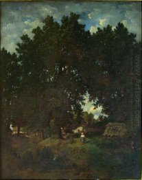 Desa Under The Trees
