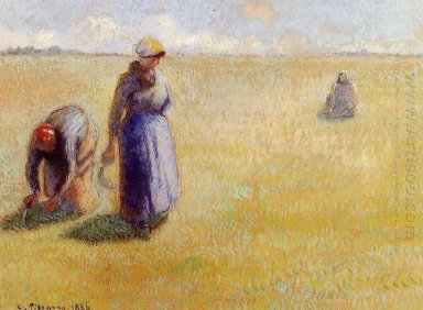 tre kvinnor gräsklippning 1886