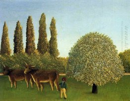 Dalam Fields 1910