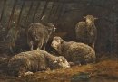 Овцы в сарае