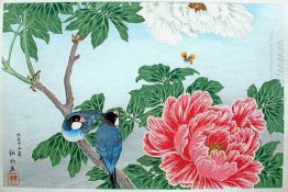 Peony e aves de Paddy