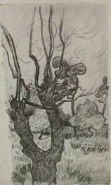 A Cima Bare Nel Giardino Del The Asylum 1889