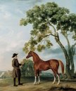 Seigneur de Grosvenor étalon arabe avec un marié
