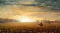 sunset of the prairies