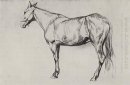 Horse 1884