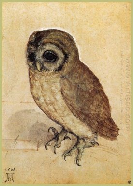 the little owl 1506