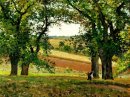 árboles de castaña en Osny 1873