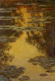 Water Lilies 23