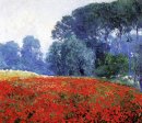 Mohnfeld