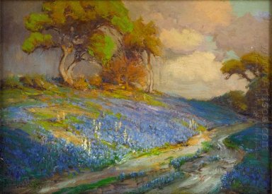Tardo pomeriggio nella Bluebonnets, S. W. Texas