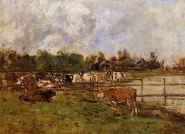 Sapi Dalam Meadow