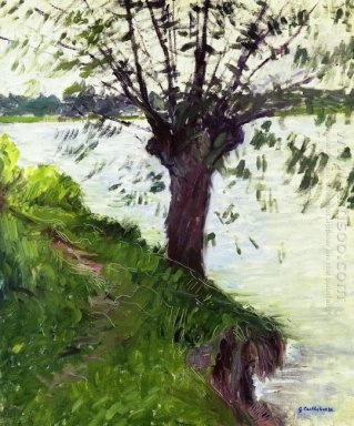 Willow auf dem Ufer der Seine