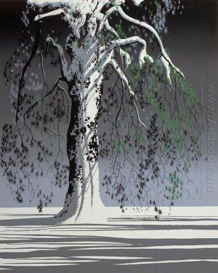 Abete In Snow