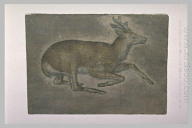Sketch Of Muda Deer