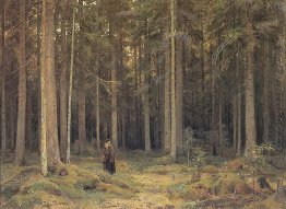 Grevinnan Mordvinov S Forest 1891