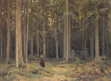Gravin Mordvinov S Bos 1891