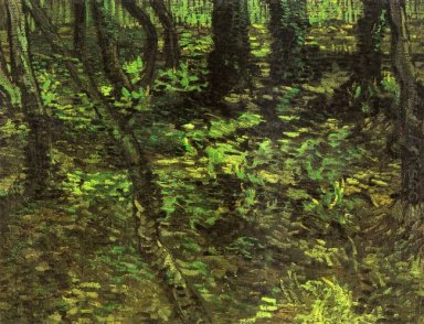 Rasteira com hera 1889