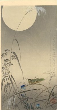 Grasshoper och Fool månen