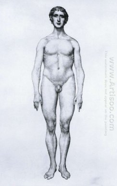 Studie av The Human Figur Anterior View From A Comparative Anato