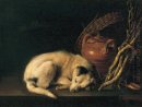 Um cão que dorme com Terracotta Pot