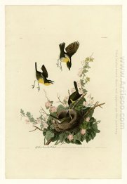 Plate 137 Gul knäppt Chat