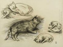 Schilderen van de Kat