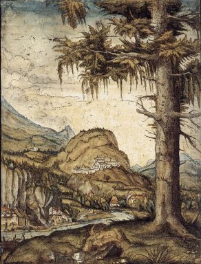Pohon Cemara Besar 1522