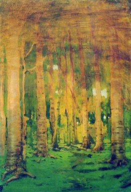 a birch grove spots of sunlight