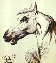 Head of a Horse