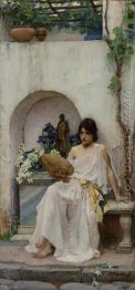 Flora 1891