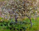 Apple träd i blom på Giverny 1901