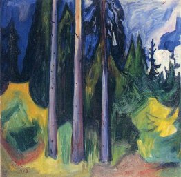 Forest 1903