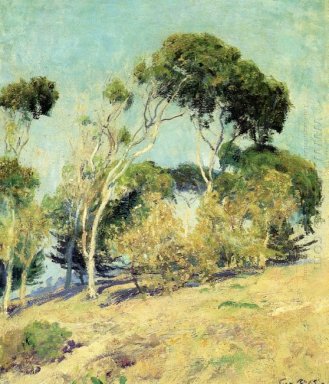 Balayé par le vent des arbres, Laguna