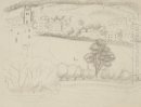 Landschap