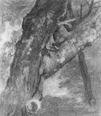 Studie van een tree 1864