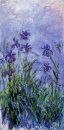 Lilac Iris 1917