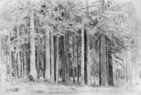 Skog 1