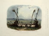 Mit der Mandan-Indianer, die Platte 14 von Band 1 des'' Trave