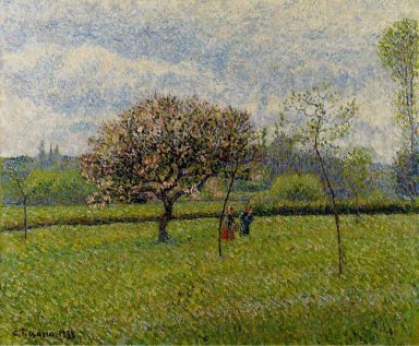 Fioritura alberi di mele a eragny 1888