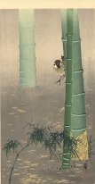 Tree sparrow and bamboo