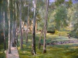 Birch växa