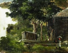 paisagem com casa na floresta em Saint Thomas antilhas