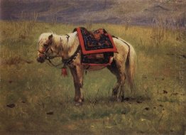 Ponies Himalayan 1875