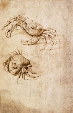 Études de crabes