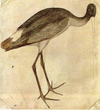 Cigogne