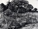 Le parc à Arles 1889